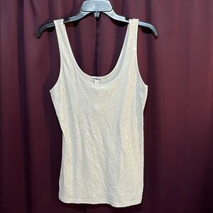 Express Shimmering Silver Tank Top